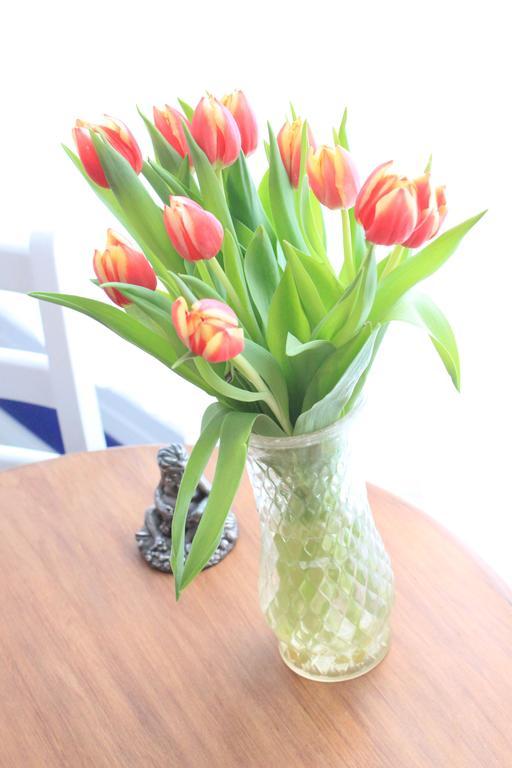Tulip Of Amsterdam Bed & Breakfast Room photo